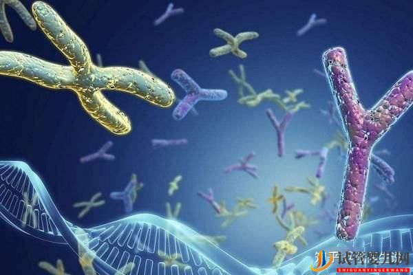 發(fā)生過胚胎染色體異常還能要寶寶嗎(圖1)