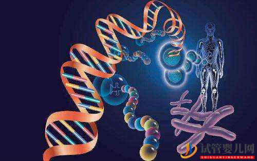 夫妻染色體正常，為什么胚胎還會出現染色體異常？(圖1)