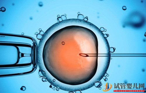 供L試管一次就過(guò)多嗎_最多幾次(圖3)