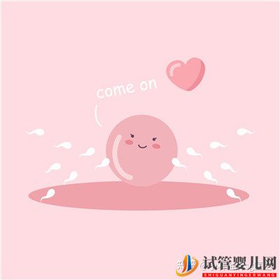 國內(nèi)第三代試管嬰兒多少錢_國內(nèi)私人試管機(jī)構(gòu)(圖1)