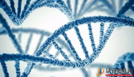 國內助孕公司可以選性別包成功嗎_試管助孕具體費用(圖1)