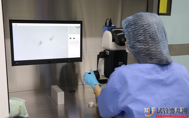 喀什借卵做試管的費用大概是多少(圖1)
