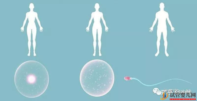 竟然有人說,試管嬰兒90%不是自己的(圖3)