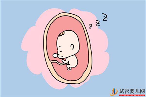 排卵期有多少天(圖1)