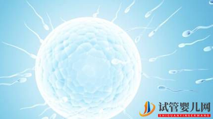 做試管嬰兒卵子質量不好，怎么進行下去(圖2)