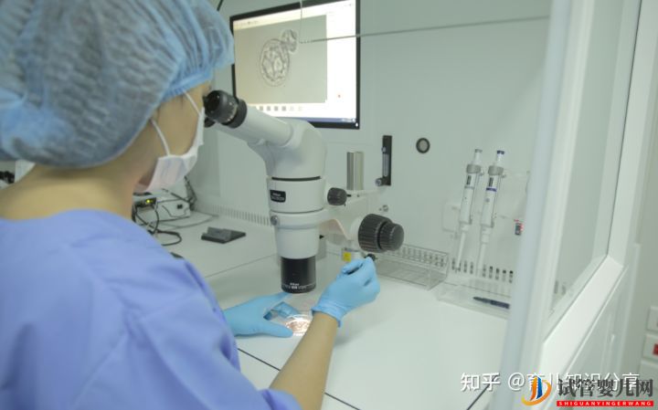 做三代試管嬰兒的成功率是多少,怎么算(圖1)