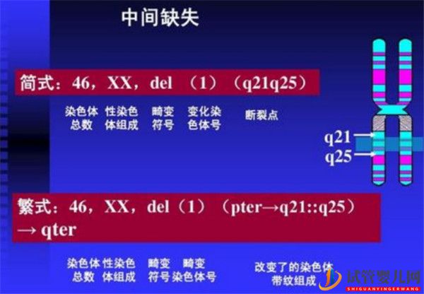 哪些遺傳性疾病可以通過三代試管技術PGD_PGS篩查(圖1)