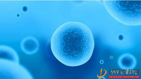 試管嬰兒網(wǎng):做第三代試管嬰兒還會染色體異常嗎(圖5) 做第三代試管嬰兒還會染色體異常嗎(圖3)