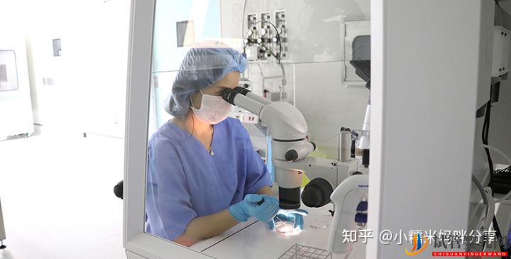 在廣州去做試管成功率高的醫院排名(圖2)