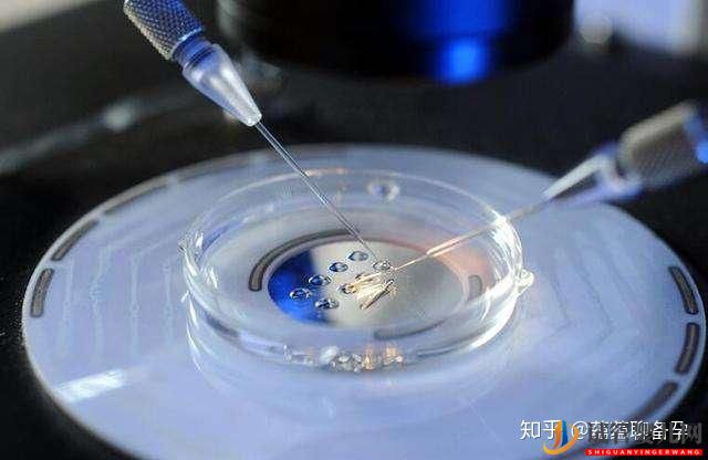 24歲的我卵巢功能下降,懷孕路上困難重重,幸而試管(圖2)