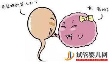 試管嬰兒網(wǎng):40歲才做試管嬰兒,能一次成功嗎(圖3) 40歲才做試管嬰兒,能一次成功嗎(圖2)