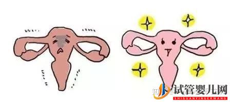 試管嬰兒網(wǎng):42歲試管晚不晚,高齡試管媽媽告訴你這個問題的答案(圖3) 42歲試管晚不晚,高齡試管媽媽告訴你這個問題的答案(圖2)