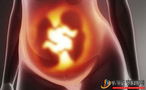 試管嬰兒網(wǎng):43歲做試管嬰兒成功率有多高(圖1) 43歲做試管嬰兒成功率有多高(圖1)