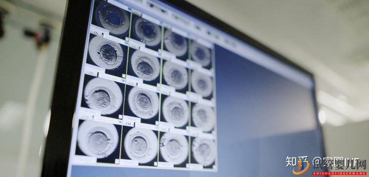 43歲做試管,成功的幾率有多大(圖4)