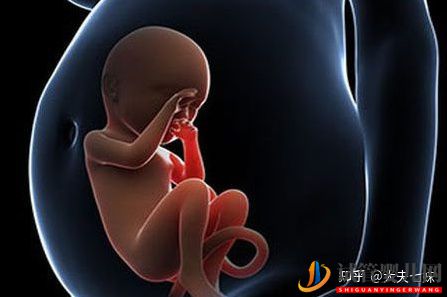 amh0.03,已經(jīng)自然懷孕,不放棄高齡試管如何提高卵(圖6)