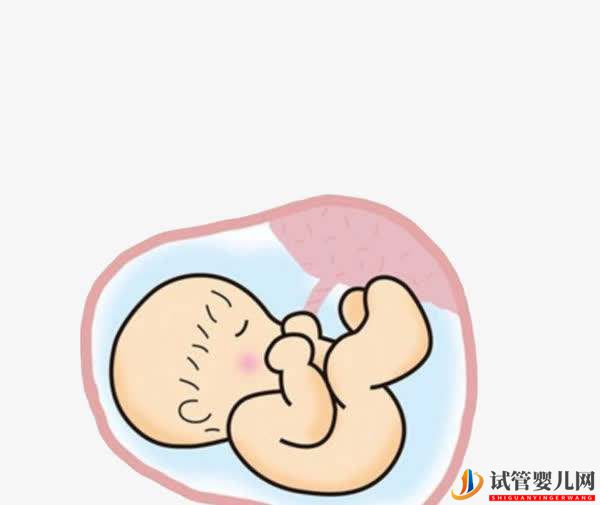 高齡女性選擇試管嬰兒助孕的成功率高嗎？(圖1)