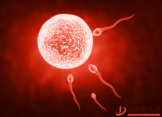 amh值低與試管成功率，47歲做試管成功率多少(圖1)