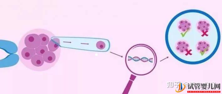 通俗易懂的一、二、三代試管嬰兒解說,及三代試管能...(圖3)