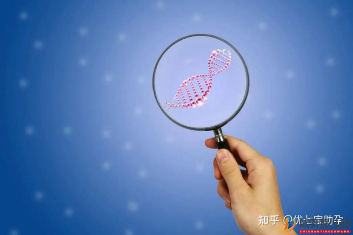 全面解析第三代試管嬰兒的科普知識(圖8)