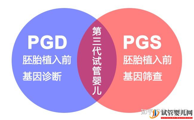 全面解析第三代試管嬰兒的科普知識(圖3)