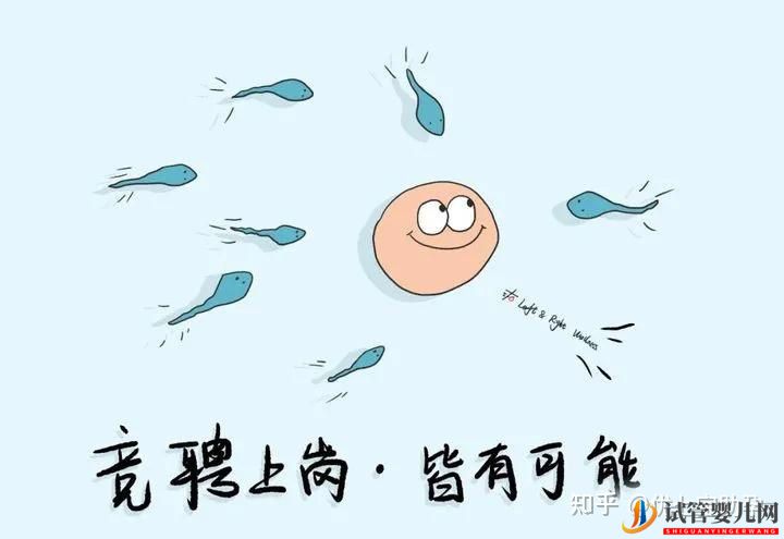 全面解析第三代試管嬰兒的科普知識(圖14)