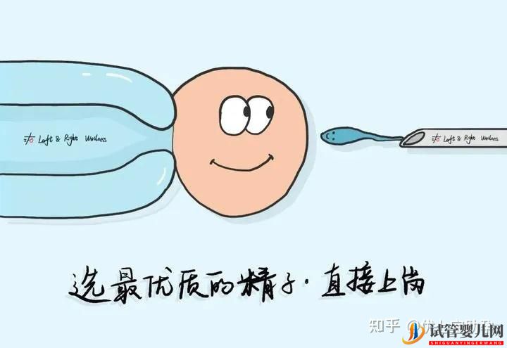 全面解析第三代試管嬰兒的科普知識(圖15)