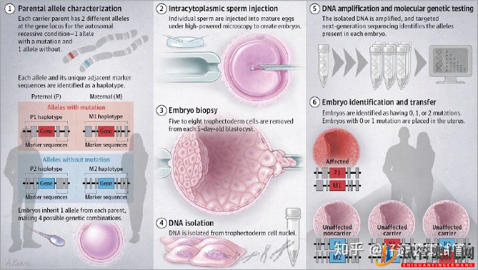 無家族遺傳病史的夫妻有必要做第三代試管(圖4)