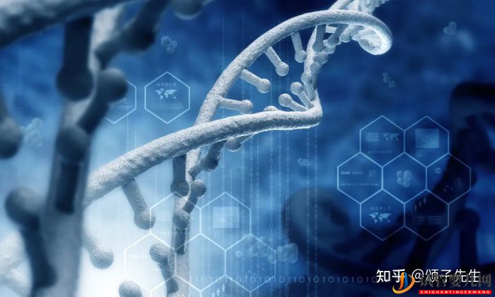 胚胎染色體異常究竟是什么原因(圖2)