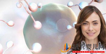 試管嬰兒發(fā)展歷程,試管“三代”的巨變(圖1)