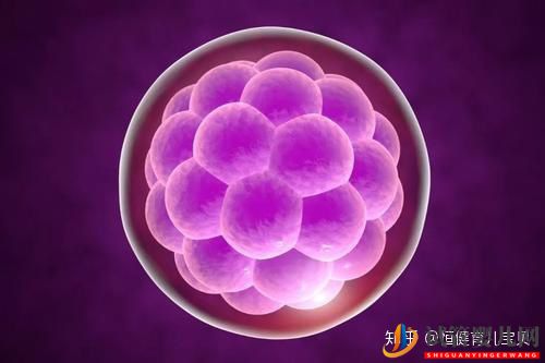 試管嬰兒和自然懷孕的孩子區別大嗎(圖1)