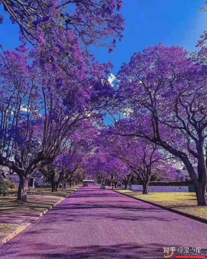 網傳試管嬰兒90%不是自己的,到底是不是真的呢(圖1)