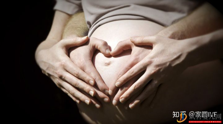 胚胎移植和人工授精誰的受孕率更高聽聽過來人的親...(圖4)