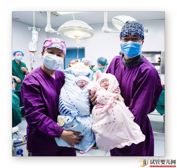 試管嬰兒科普系列三試管嬰兒的成功率(圖3)