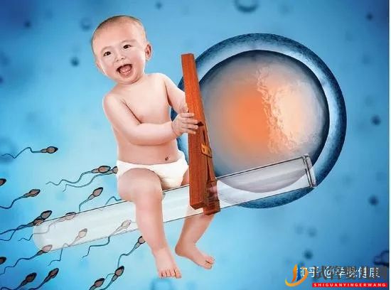 試管嬰兒一個(gè)周期大概多長(zhǎng)時(shí)間及需要多少錢(qián)(圖1)