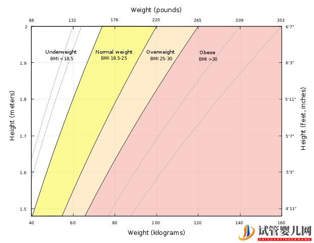 試管嬰兒卵子質量完整指南-卵子質量完整攻略(圖14)