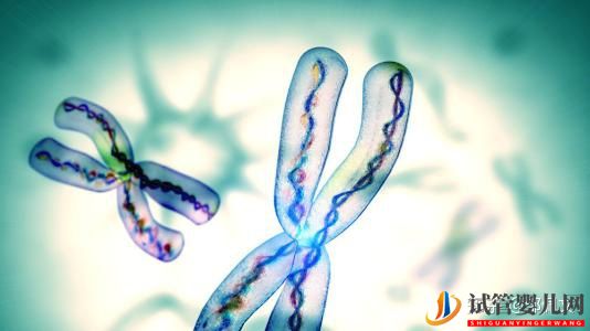 一、二、三代試管嬰兒的優(yōu)缺點(diǎn),做試管嬰兒應(yīng)該選擇(圖3)