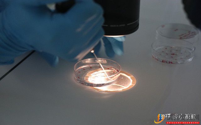 三代試管嬰兒成功率高么費用是多少(圖2) 三代試管嬰兒成功率高么費用是多少(圖2)