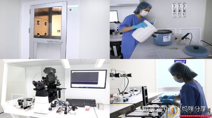 三代試管嬰兒的詳細流程最怕哪個(圖2)