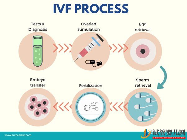 仔細瞧瞧,第三代試管嬰兒的四大誤區!(圖5)