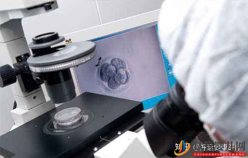 依賴人工干預的三代試管技術,對高齡求子(圖3)