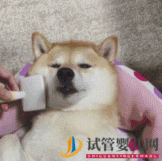 四十歲大齡三代試管嬰兒真實經(jīng)歷一個胚胎也能一次...(圖5)