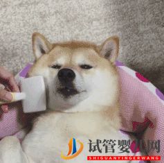 四十歲大齡三代試管嬰兒真實經(jīng)歷一個胚胎也能一次...(圖6)