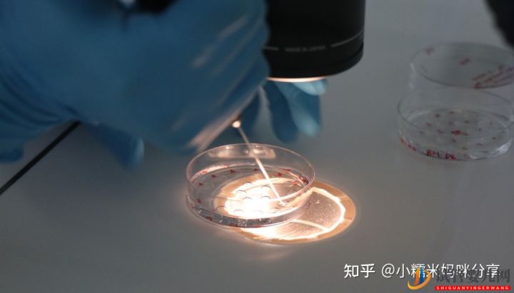 實話實說,第三代試管嬰兒的費用數目是多少(圖1)