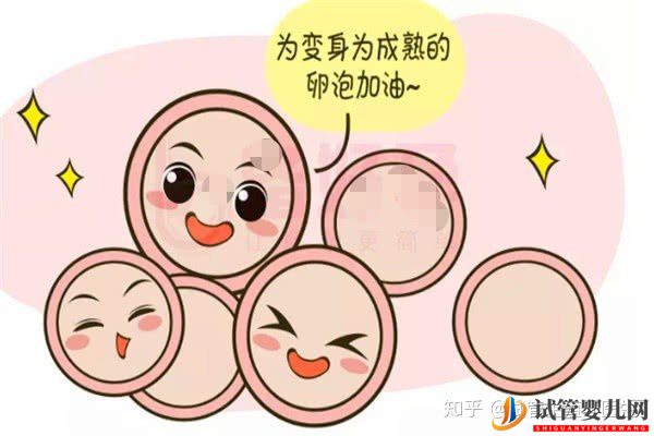 試管嬰兒一代至三代到底有什么樣的區別(圖2) 試管嬰兒一代至三代到底有什么樣的區別(圖2)