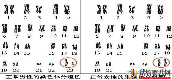 盤點試管嬰兒助孕前,必做檢查項目+注意事項!(圖3)