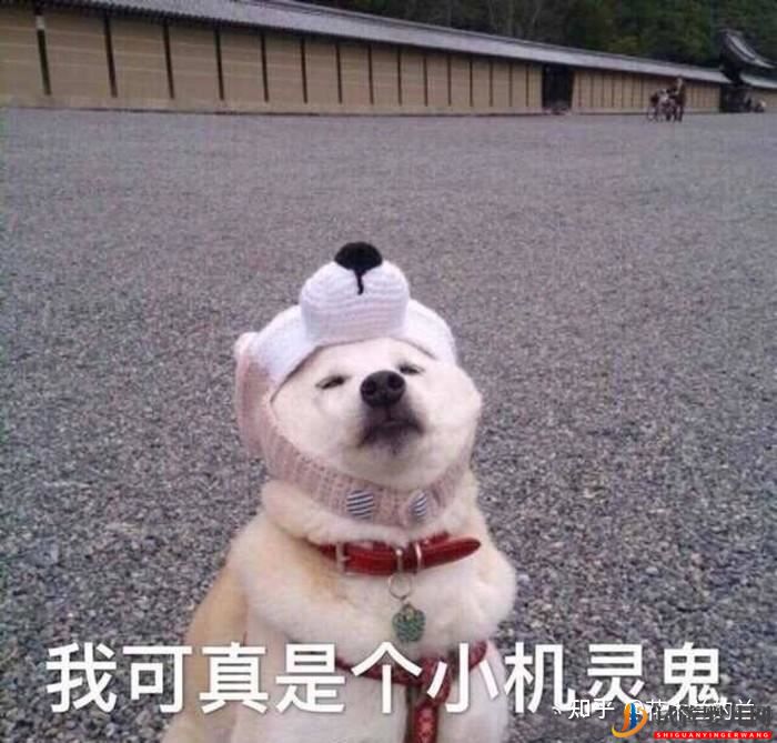 盤點試管嬰兒助孕前,必做檢查項目+注意事項!(圖9)