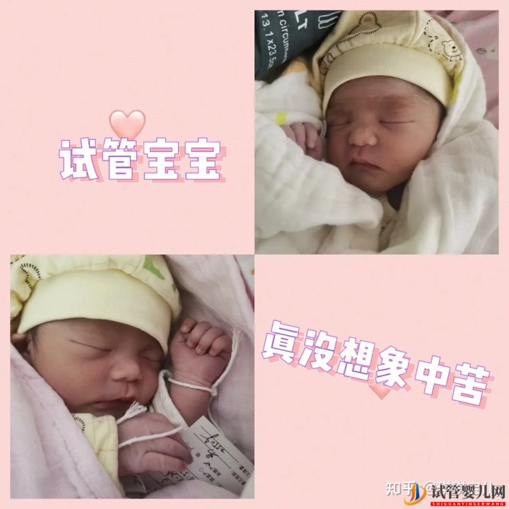 試管嬰兒網(wǎng):試管一次性成功,喜迎雙胎超順利(圖11) 試管一次性成功,喜迎雙胎超順利(圖6)