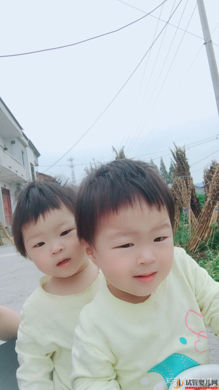 試管雙胞胎一次成功必看經驗(圖1)