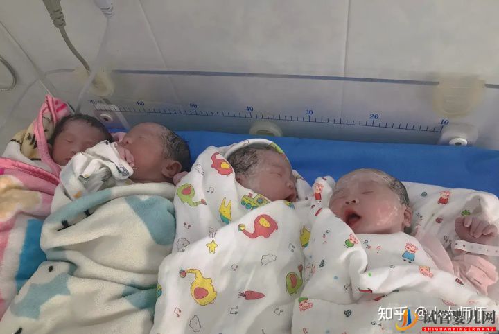 試管嬰兒網(wǎng):龍鳳胎的出生率為什么越來越高(圖1) 龍鳳胎的出生率為什么越來越高(圖1)