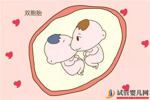 試管嬰兒懷雙胞胎幾率高嗎(圖3)